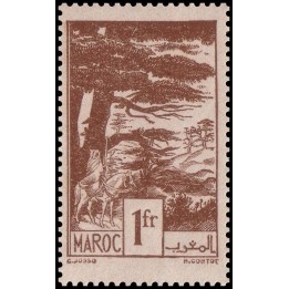 Maroc - 227