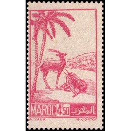 Maroc - 231B