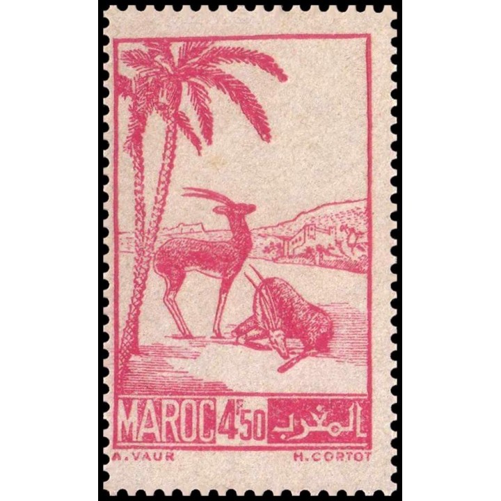 Maroc - 231B