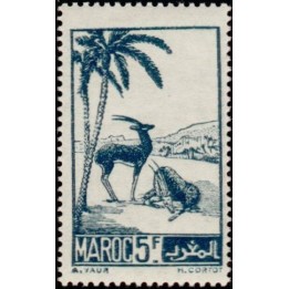 Maroc - 232
