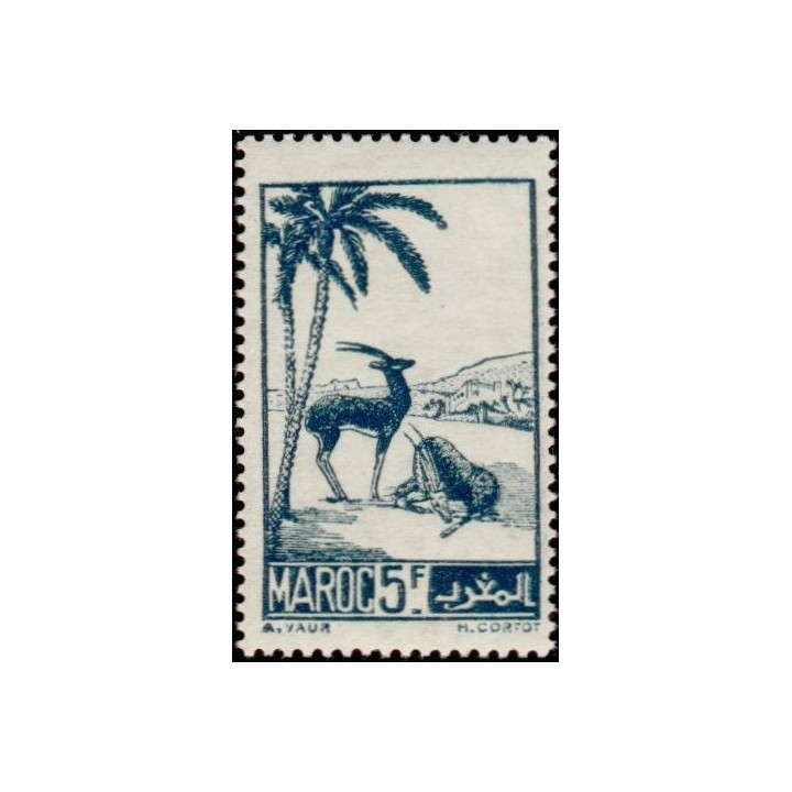 Maroc - 232