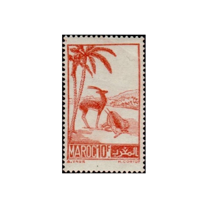 Maroc - 234