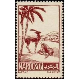 Maroc - 236