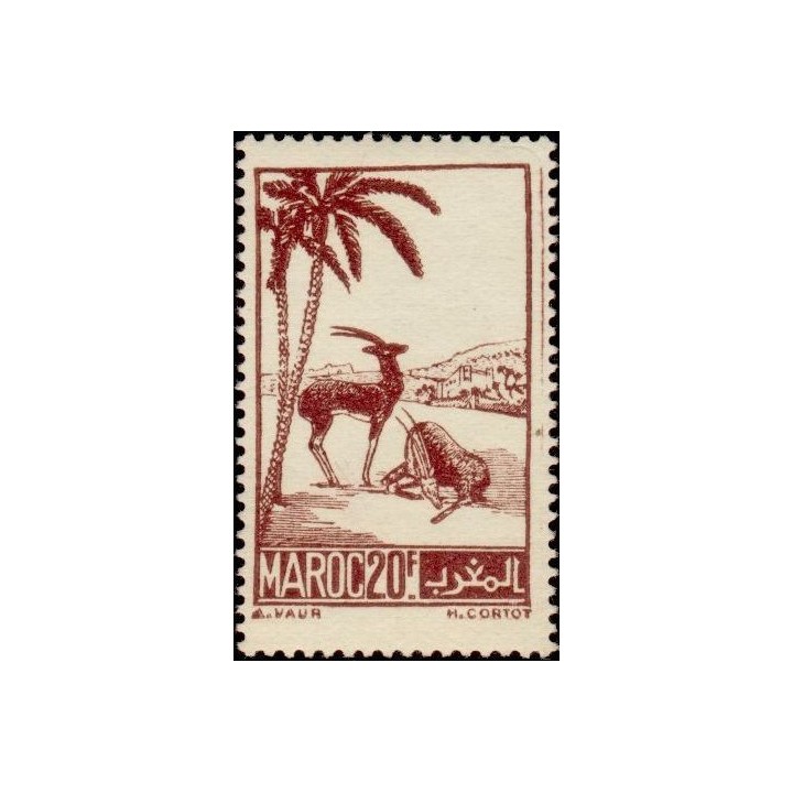 Maroc - 236