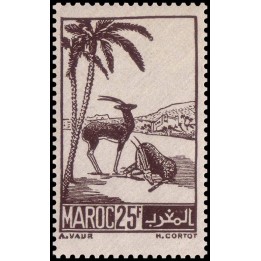 Maroc - 237