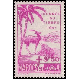 Maroc - 244