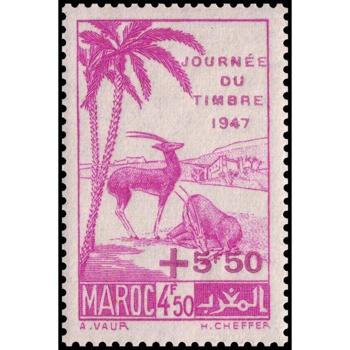 Maroc - 244