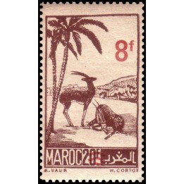 Maroc - 270