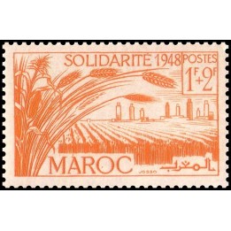Maroc - 271