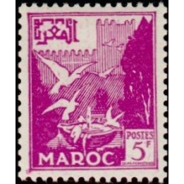 Maroc - 331