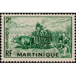 Martinique - 232