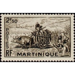 Martinique - 233