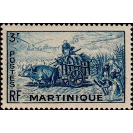 Martinique - 234