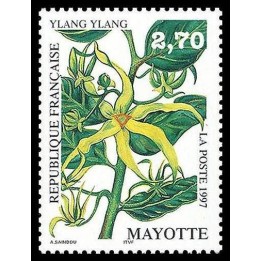 Mayotte - 042