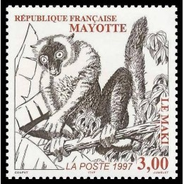 Mayotte - 046