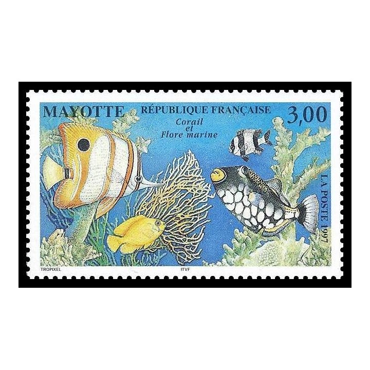 Mayotte - 051