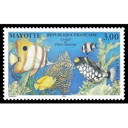 Mayotte - 051