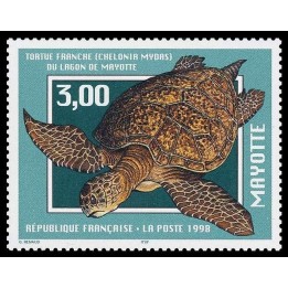 Mayotte - 052
