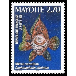 Mayotte - 071