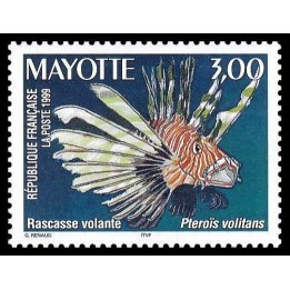 Mayotte - 072