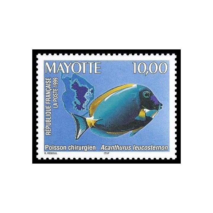 Mayotte - 074