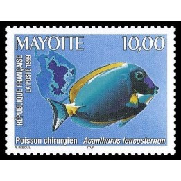 Mayotte - 074