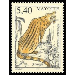 Mayotte - 076
