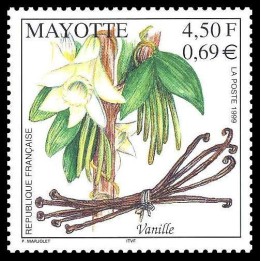 Mayotte - 078