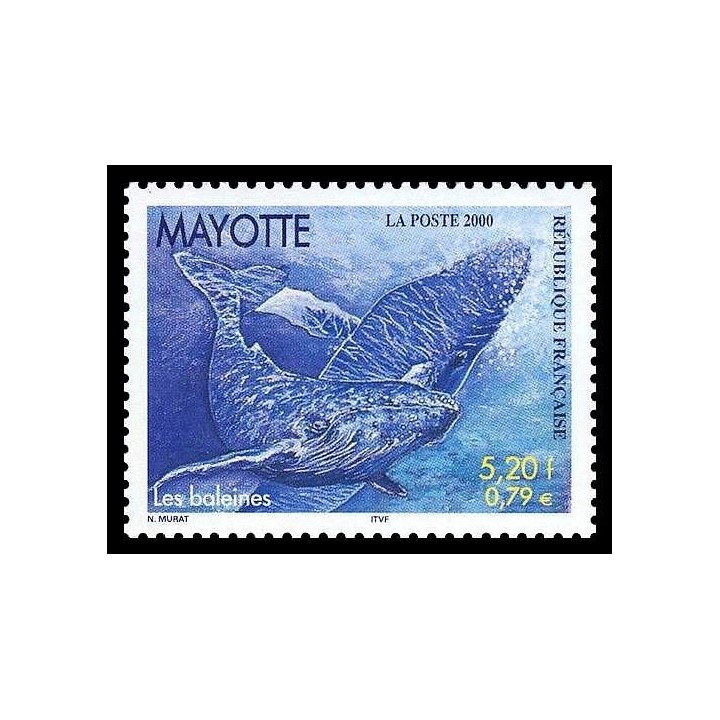 Mayotte - 082