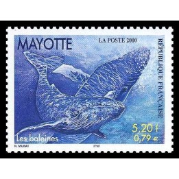 Mayotte - 082