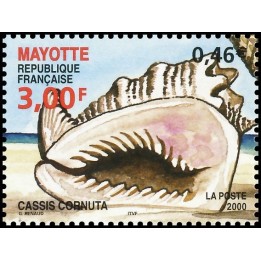Mayotte - 092