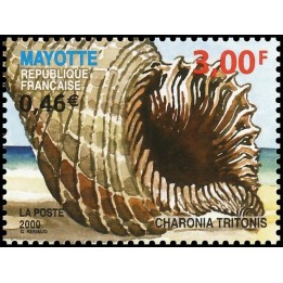 Mayotte - 093