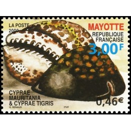 Mayotte - 095