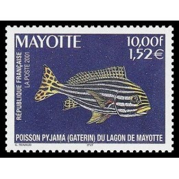 Mayotte - 102