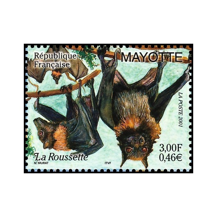 Mayotte - 104