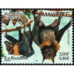 Mayotte - 104