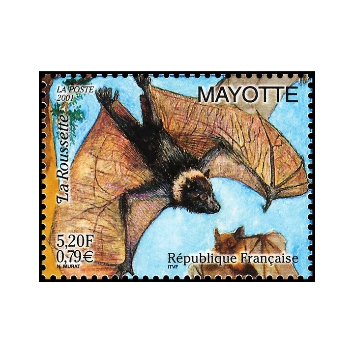Mayotte - 105