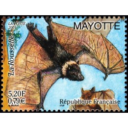 Mayotte - 105