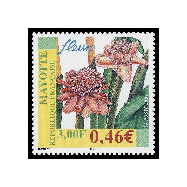 Mayotte - 107