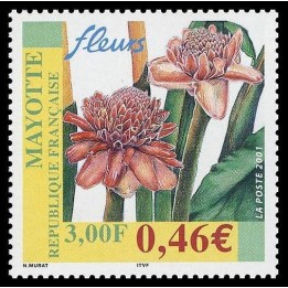 Mayotte - 107
