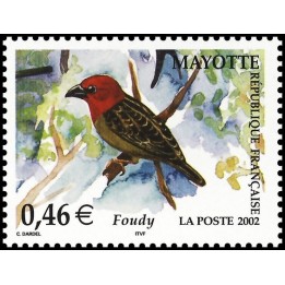 Mayotte - 137