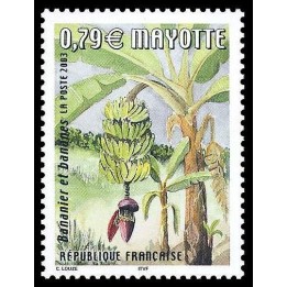 Mayotte - 141