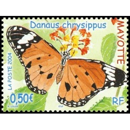 Mayotte - 157