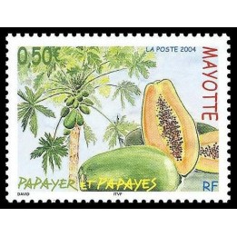 Mayotte - 164