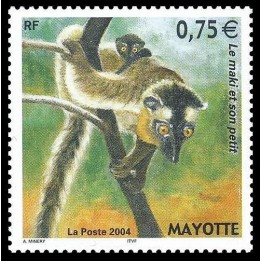 Mayotte - 167