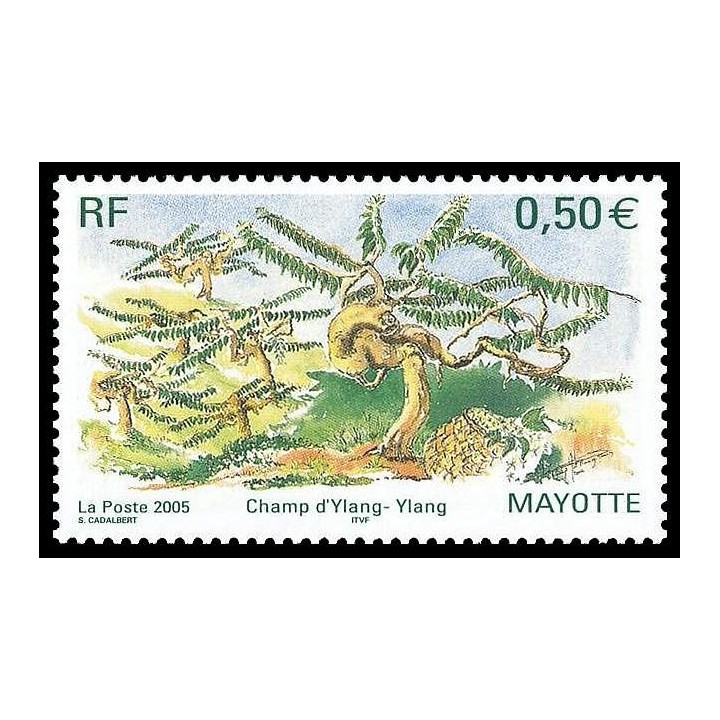 Mayotte - 170