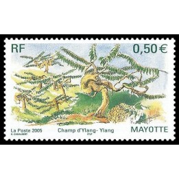 Mayotte - 170