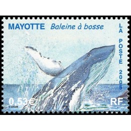 Mayotte - 173