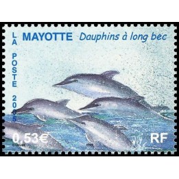 Mayotte - 174