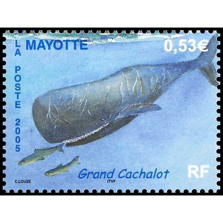 Mayotte - 175